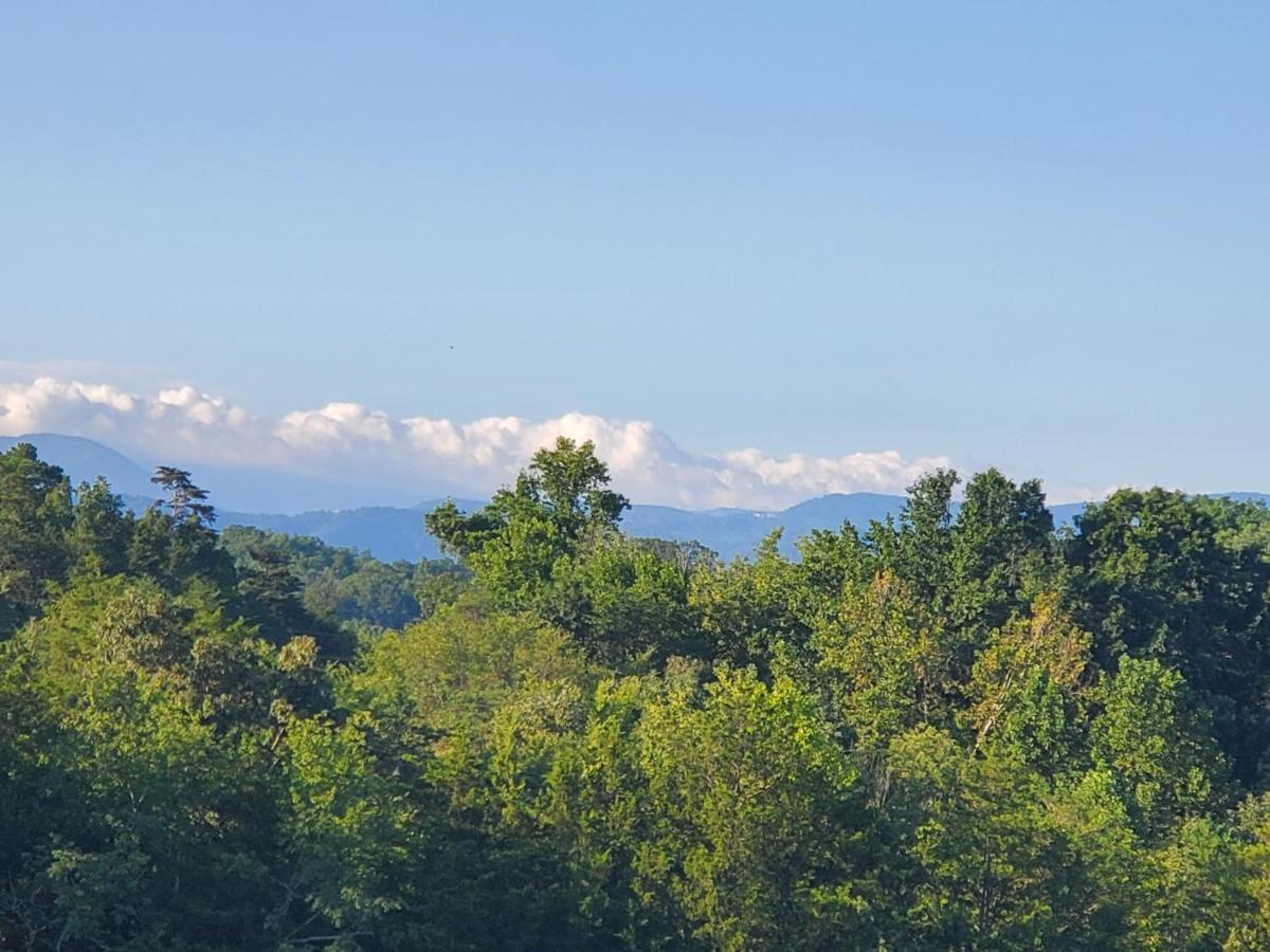 Huny Bear Lodge Pigeon Forge Eksteriør bilde